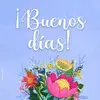 alida delgado 🙏🙌🙏 - @alida_delgado - TikTok