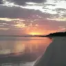 Alida Ferreira - @alidaferreira0 - TikTok