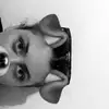 Alida Fitzgerald  - @alida.fitzpirv - TikTok