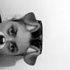 Alida Fitzgerald  - @alida.fpriv - TikTok
