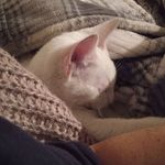 Alida Flores Alday - @alida.flores.1806 - Instagram