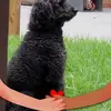 alidabrownford - @alidabrownford - TikTok