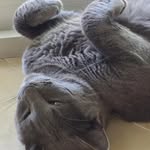Alida Graham - @aligra11 - Instagram