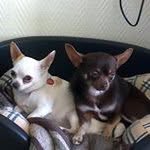 Alida Hartmans - @alidahartmans - Instagram