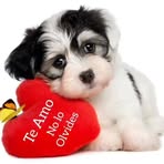 Alida Hernandez - Facebook