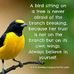 Alida Jackson - Facebook