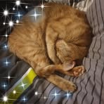 Alida Liebenberg - Facebook