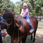 Alida Lopez - @alida.lopez.5201254 - Instagram