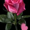 Alida Lopez - @alida.lopez80 - TikTok