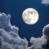 Alida Luna - @alida.luna3 - TikTok