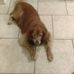 Alida Lyons - Facebook