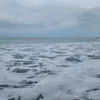 Alida Martinez - @alidamartine - TikTok