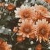 Alida Martinez - Facebook
