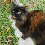 Velázquez Alida - @alida.molina.5201 - Instagram