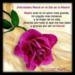 Alida Montalvo - @alidamontalvo - Instagram