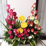 Alida Morales - Facebook