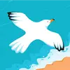Alida Moreno - @alida.moreno73 - TikTok