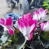 Alida Orellana112 - @alidaorellana112 - TikTok