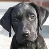 alida quintero - @alida.quintero3 - TikTok