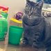 Alida Reid - Facebook