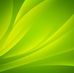 Old Mutual Insure - Alida Reid - Facebook