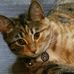 Alida Richardson - Facebook