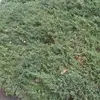 Alida Rivera - @alida.rivera2 - TikTok