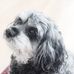 Alida Taylor - Facebook