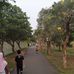 Alim Ibrahim - Facebook