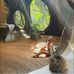 Alin Green - Facebook