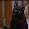 Aline Green - @aline.green - TikTok