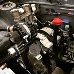 @alingreen2002 - Instagram