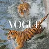 alinaabraham81 - @alinaabraham81 - TikTok