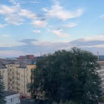 alina - @alinahalonen22 - Instagram