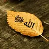 A 🦋 - @alinakhalid7 - TikTok