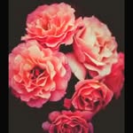 Alina Khalid - @alinakhalid2912 - Instagram