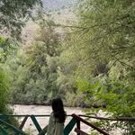 Alinakhalid - @alinakhalid33 - Instagram