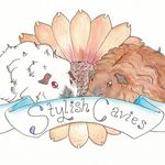 Alina Mitchell - @stylishcavies - Instagram
