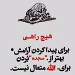 علی ناروئ - @ali_naroei81 - Instagram