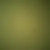 .... - @alina_roecher - TikTok