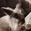 Aline Bernard - @aline.bernard01 - TikTok