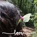 Aline Bernard - Facebook