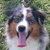 Aline Brunet - Facebook