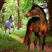Aline Brunet - Facebook