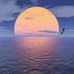 Aline Cortez - Facebook