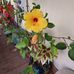 Aline Doyle - Facebook