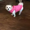 alene lowe - @alene.lowe65 - TikTok