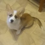 Alinetta Mercury - @alinettamercury - Instagram