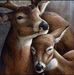 Alline Doyle Odom - Facebook