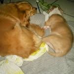 Aline Alfred Payne Berry - @coco85450 - Instagram